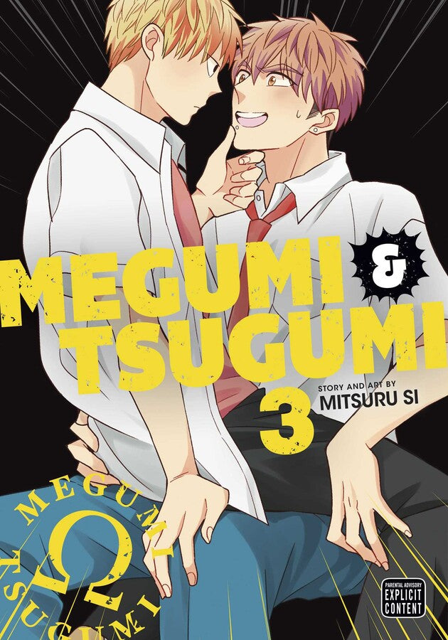 Megumi & Tsugumi, Vol. 03