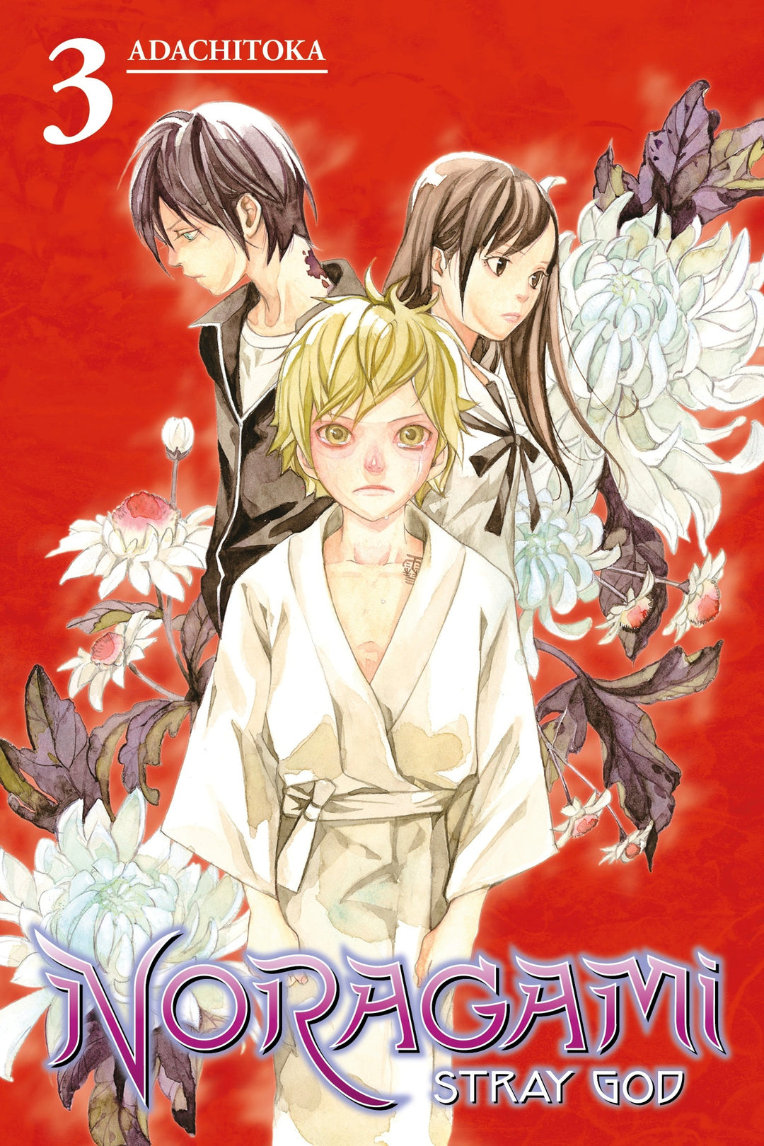 Noragami: Stray God, Vol. 03 - Manga Mate