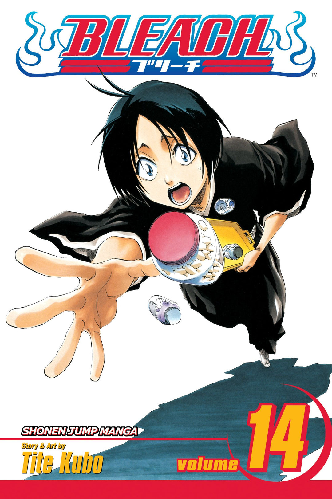 Bleach, Vol. 14 - Manga Mate