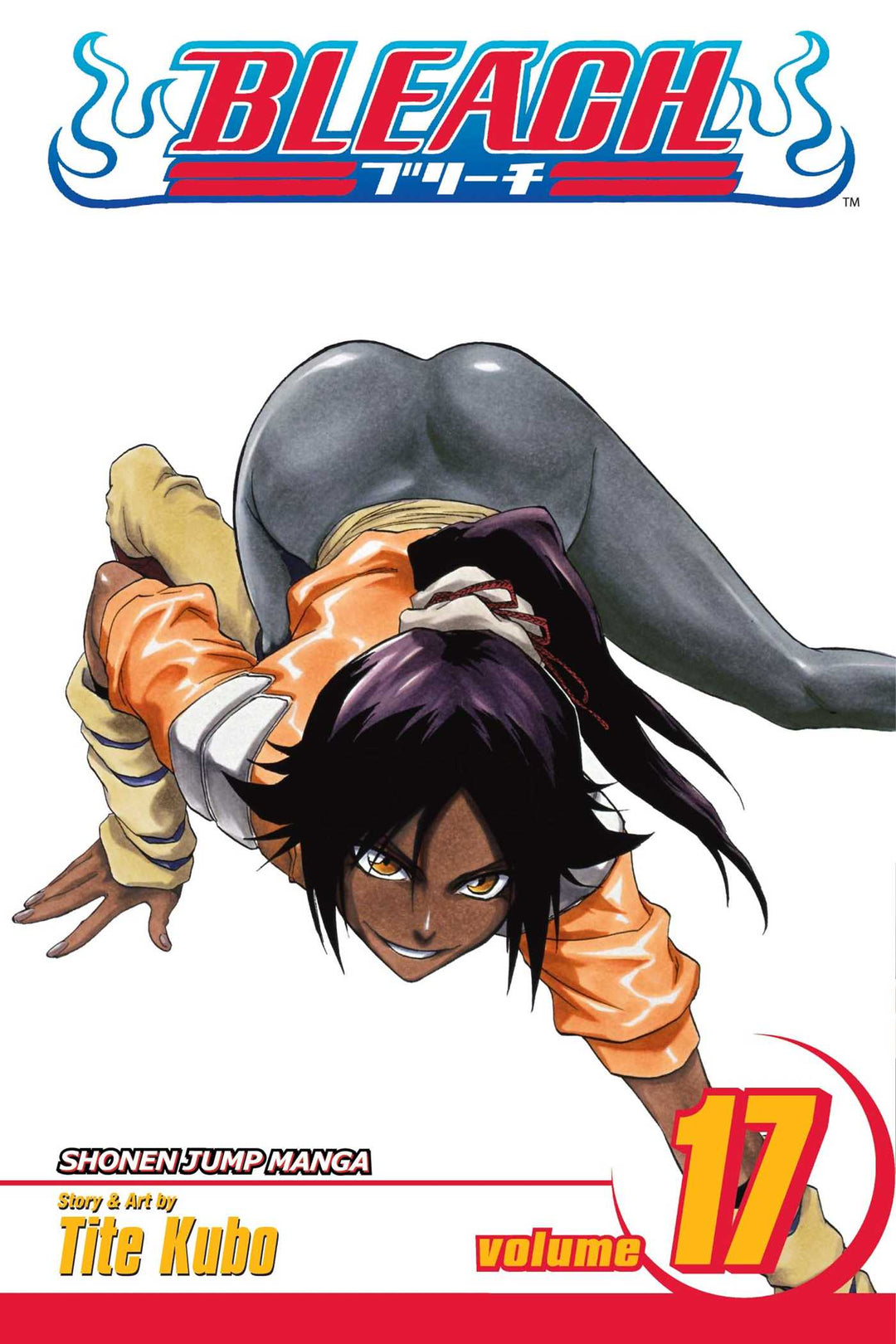 Bleach, Vol. 17 - Manga Mate