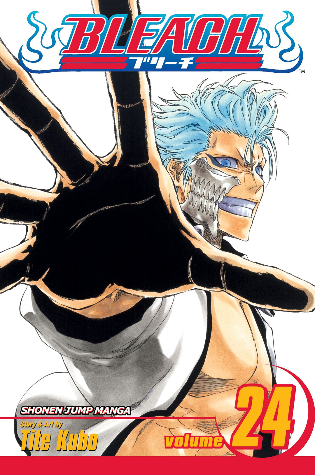 Bleach, Vol. 24 - Manga Mate