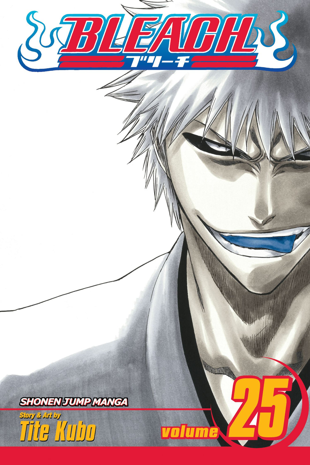 Bleach, Vol. 25 - Manga Mate
