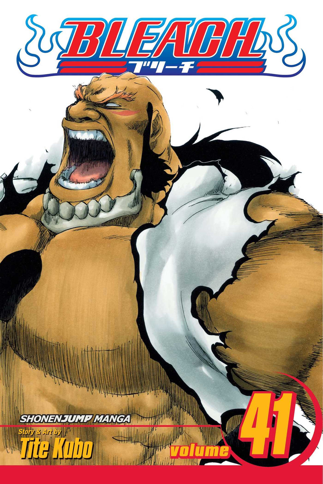 Bleach, Vol. 41 - Manga Mate