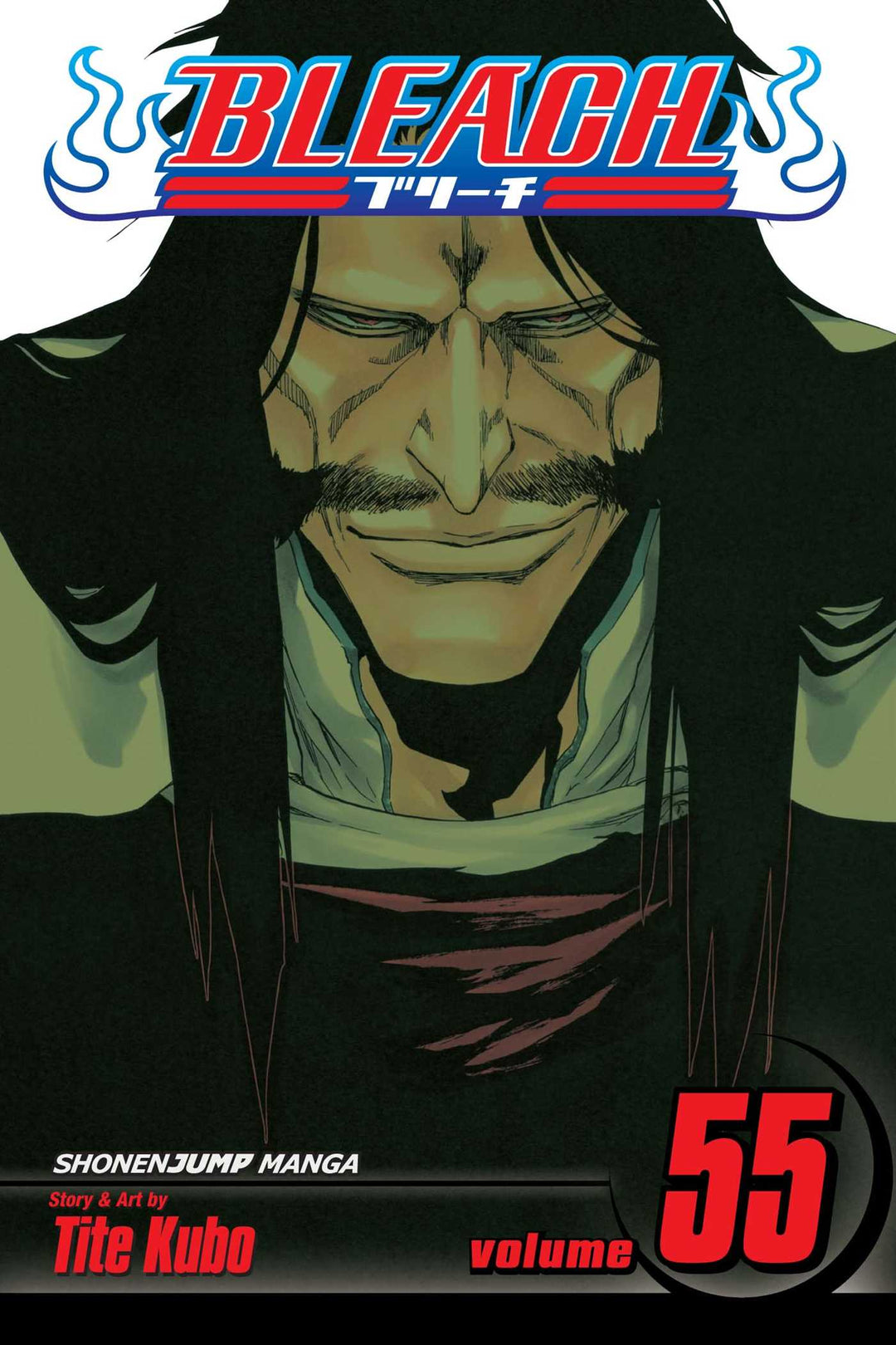 Bleach, Vol. 55 - Manga Mate