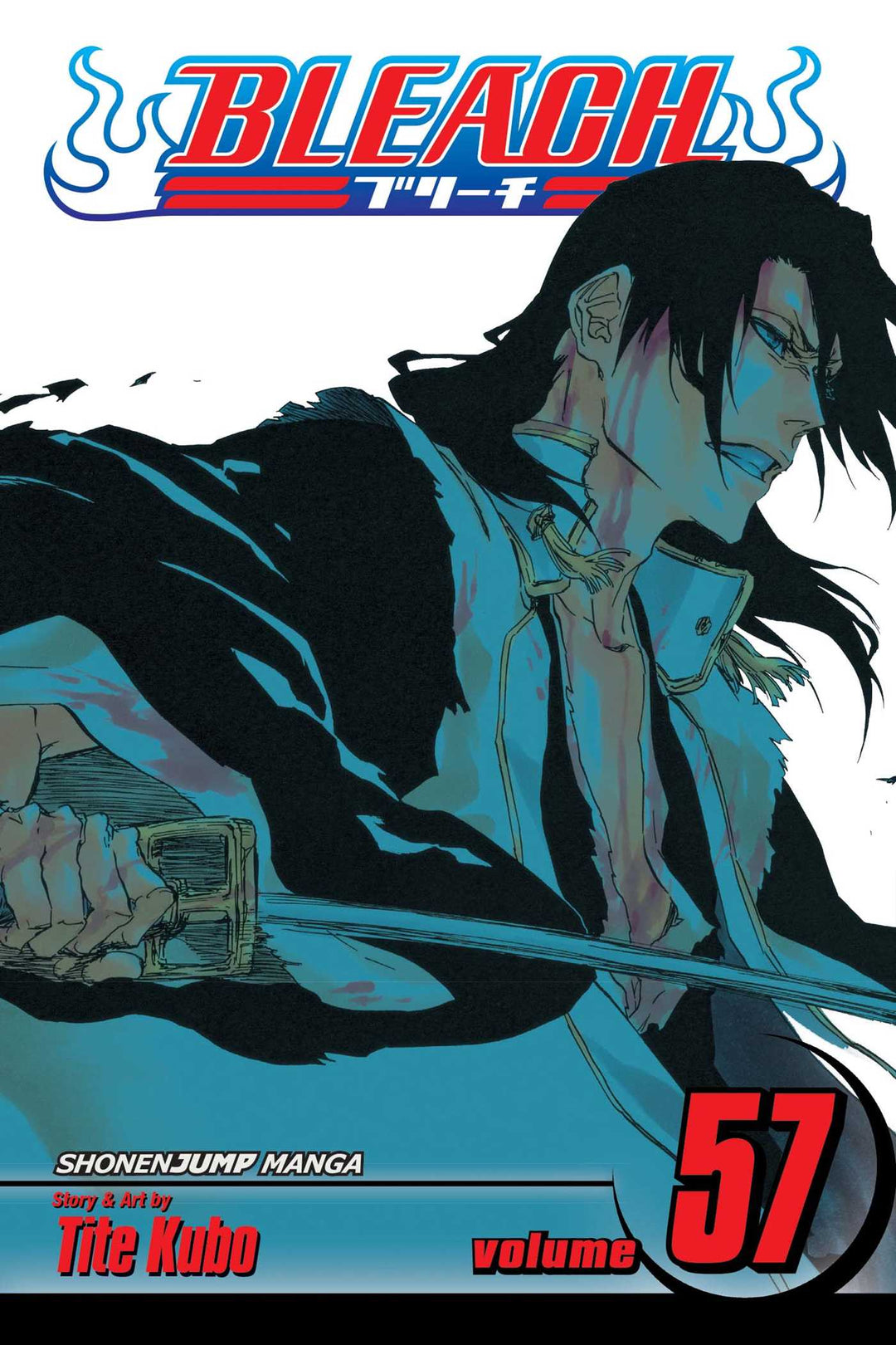 Bleach, Vol. 57 - Manga Mate