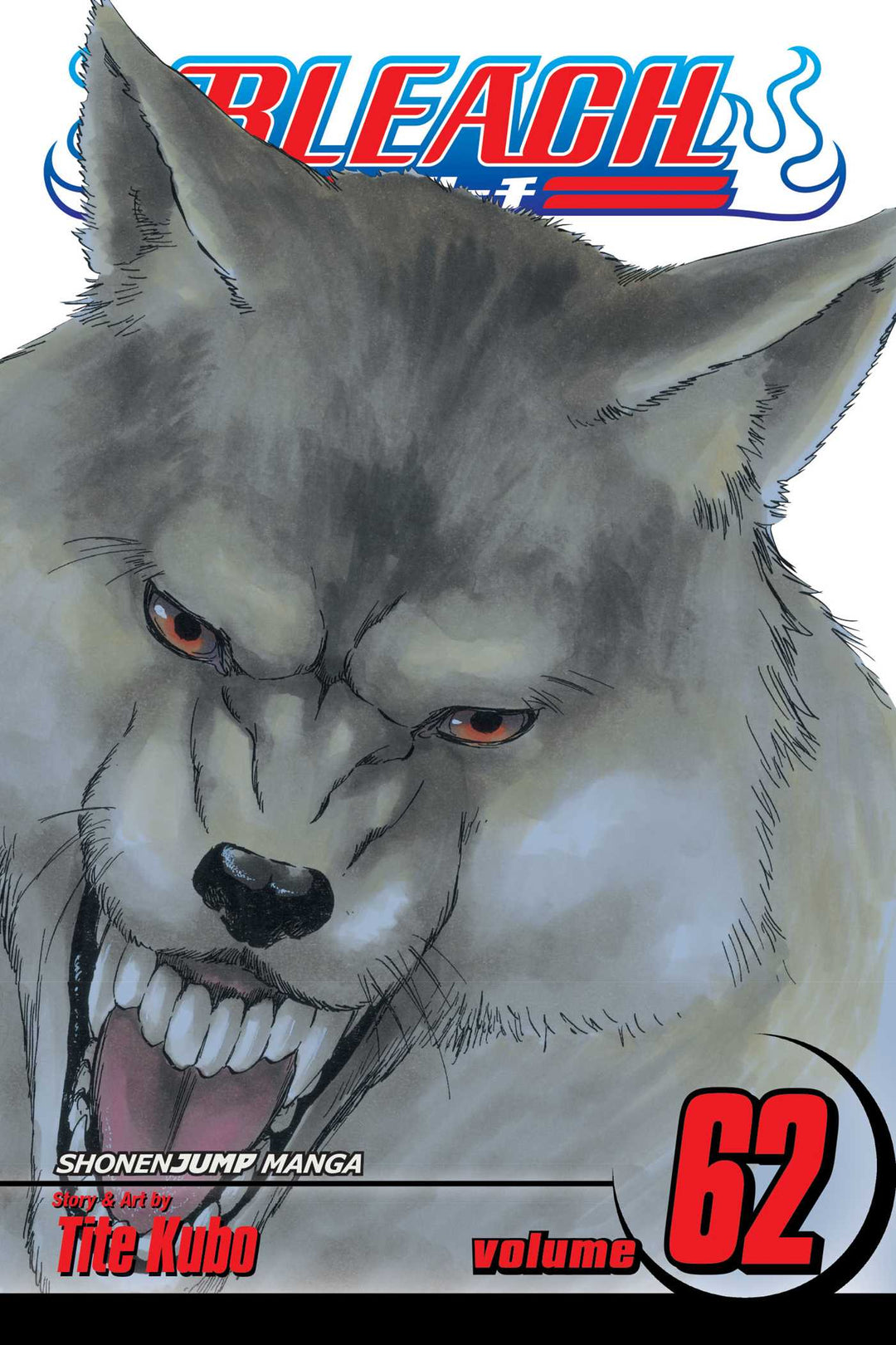 Bleach, Vol. 62 - Manga Mate