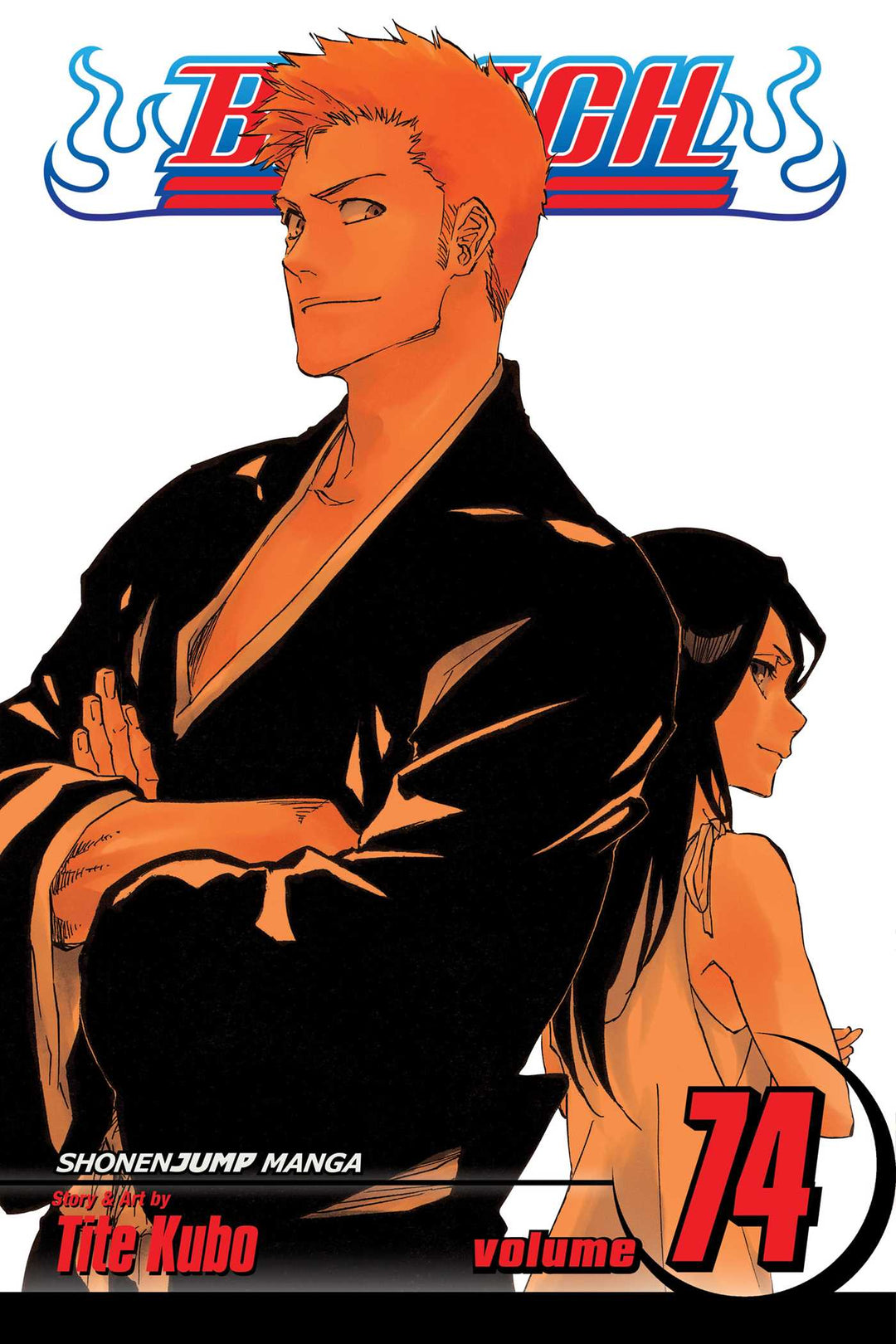 Bleach, Vol. 74 - Manga Mate