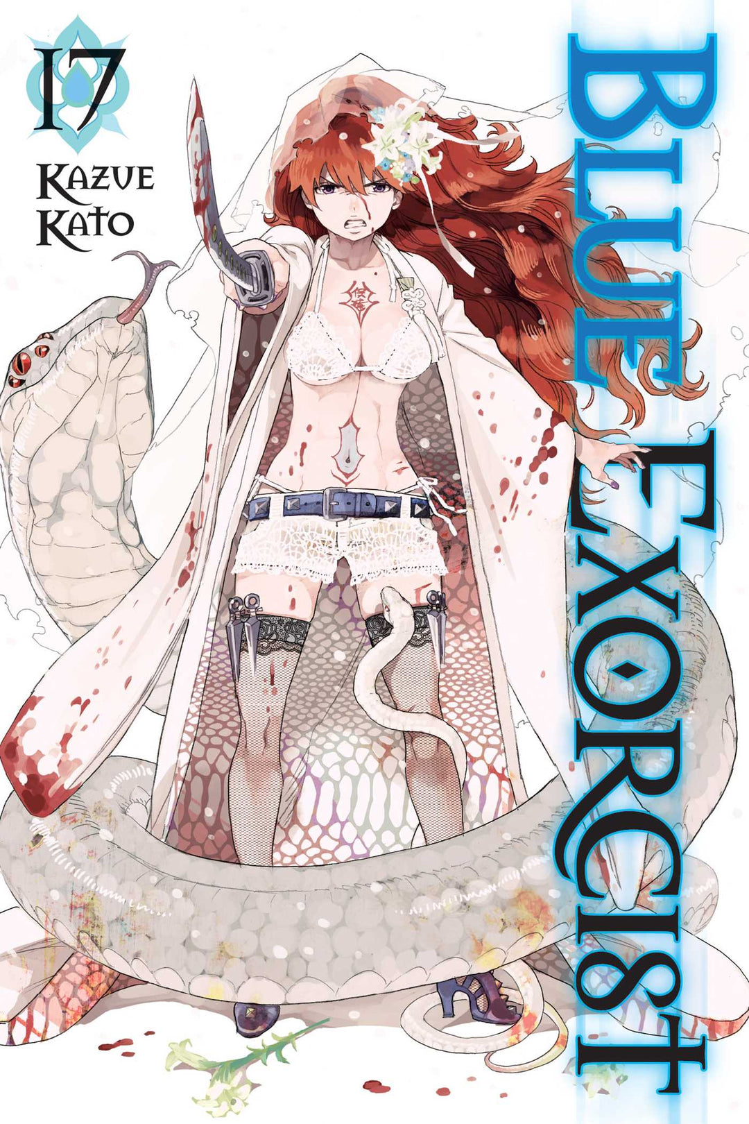 Blue Exorcist, Vol. 17 - Manga Mate