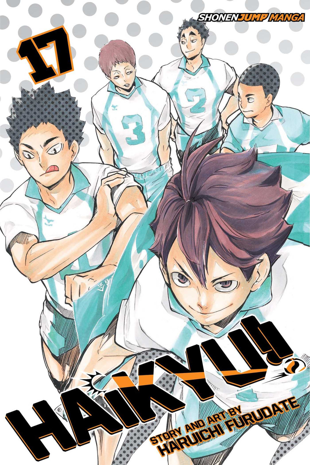 Haikyu!!, Vol. 17 - Manga Mate