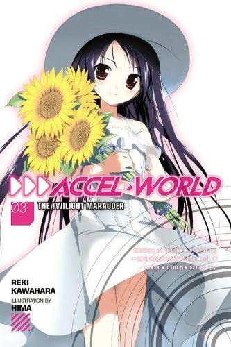 Accel World, Vol. 03 (Light Novel)