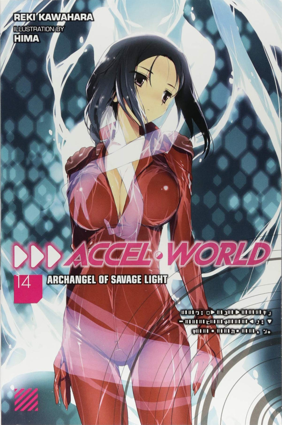 Accel World, Vol. 14 (Light Novel)