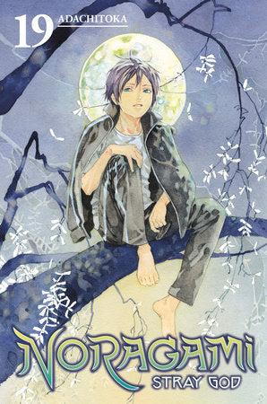 Noragami: Stray God, Vol. 19 - Manga Mate