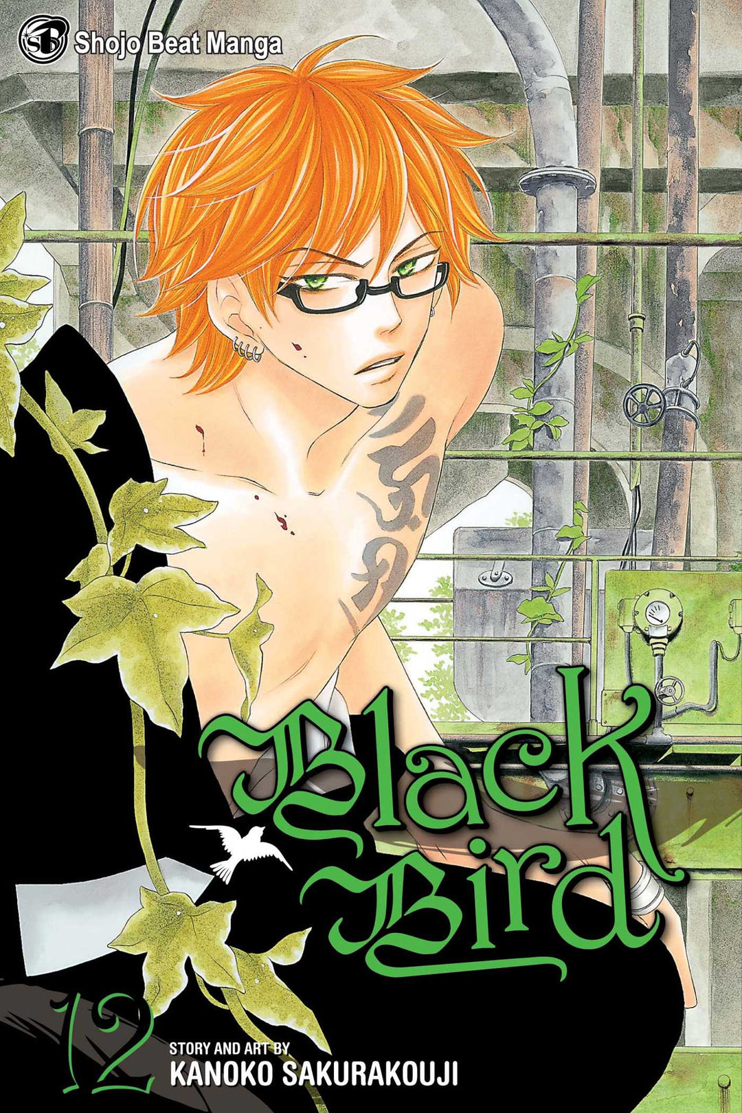 Black Bird, Vol. 12 - Manga Mate