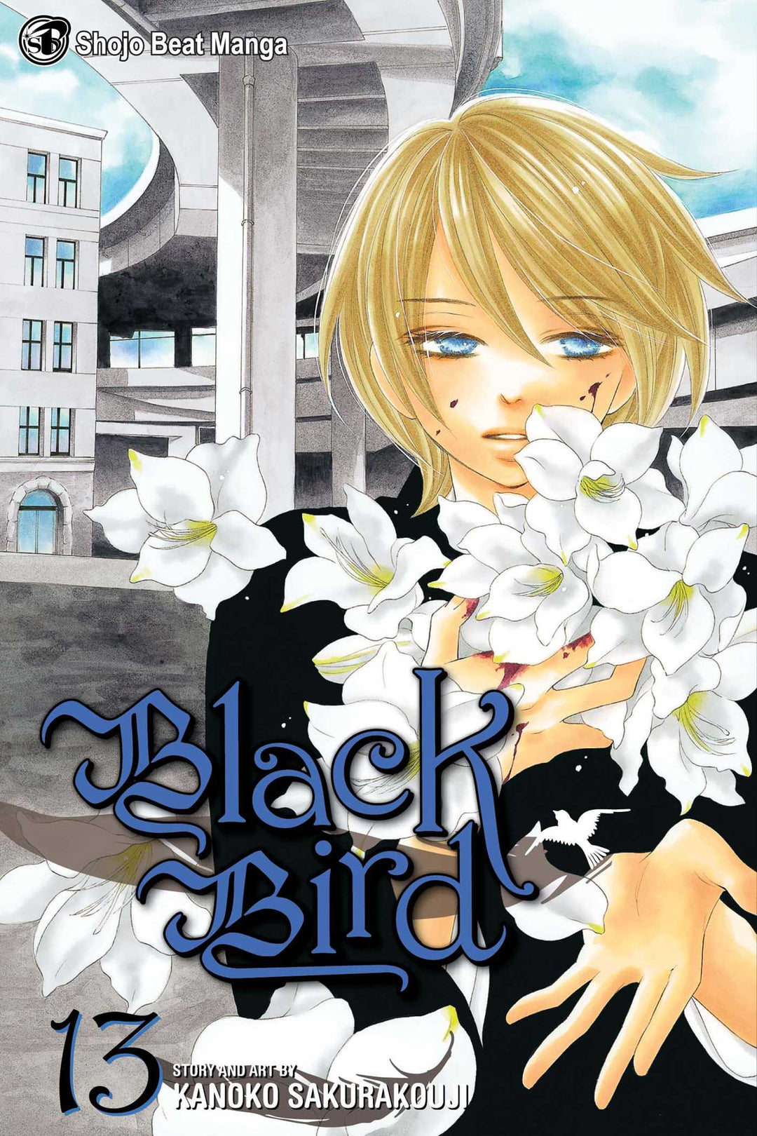 Black Bird, Vol. 13 - Manga Mate