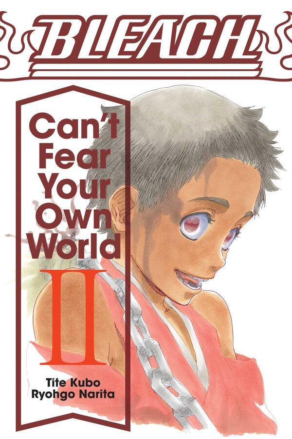 Bleach: Can't Fear Your Own World, Vol. 02 - Manga Mate