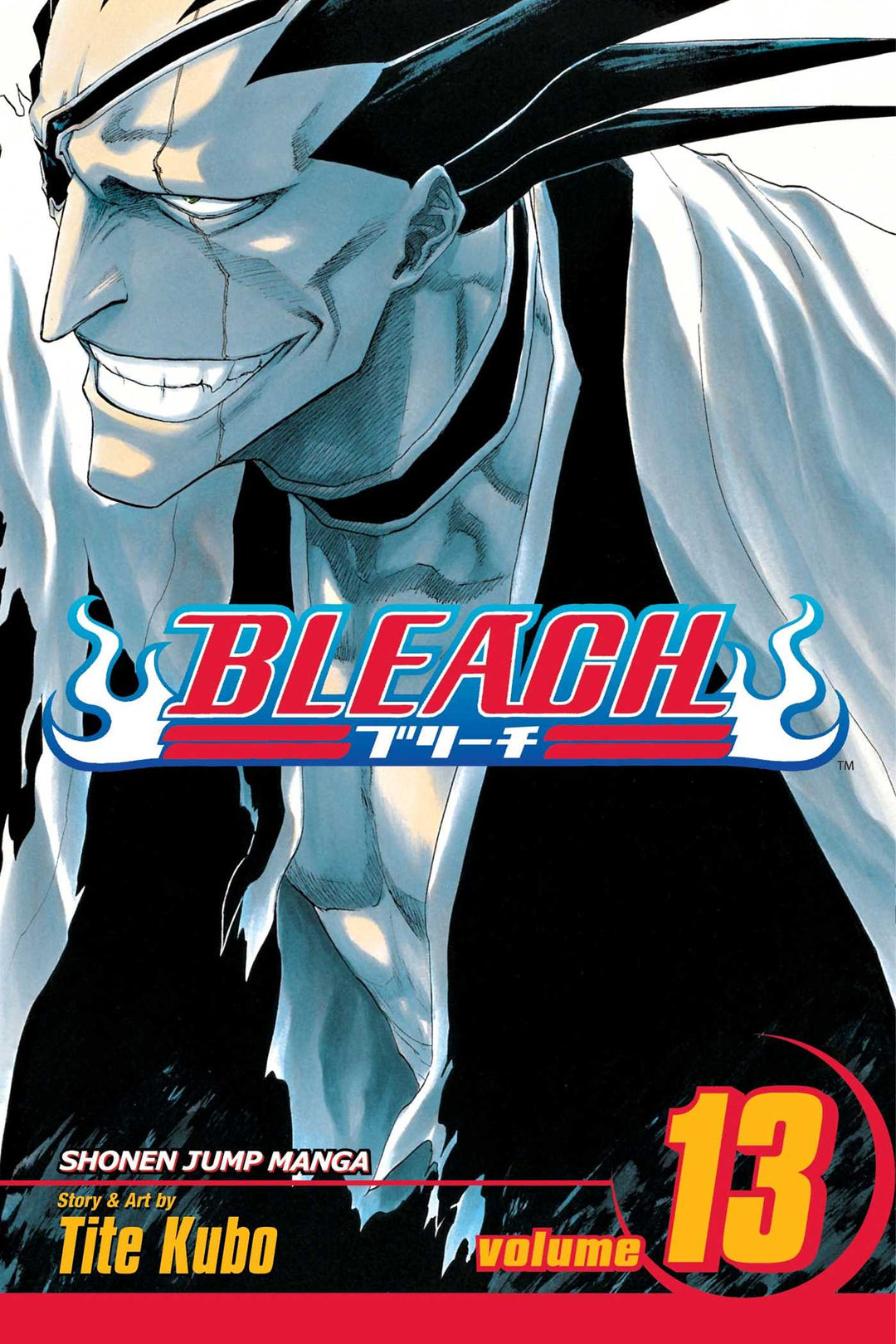 Bleach, Vol. 13 - Manga Mate