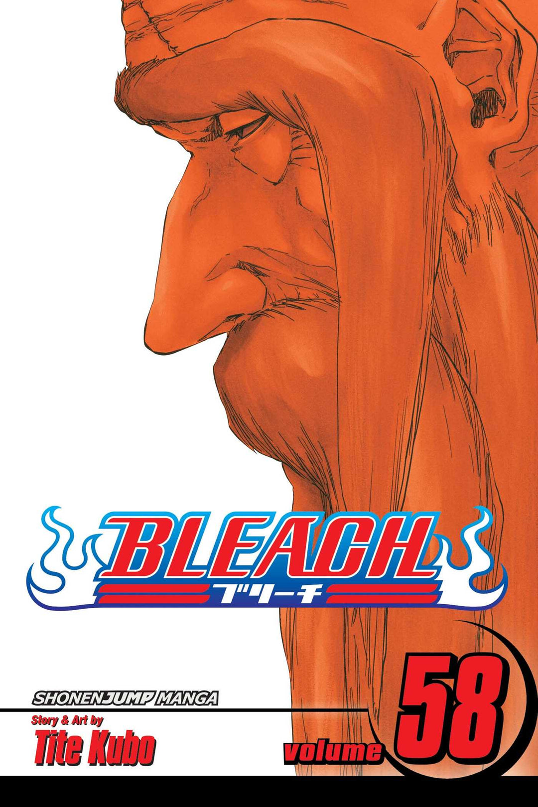 Bleach, Vol. 58 - Manga Mate