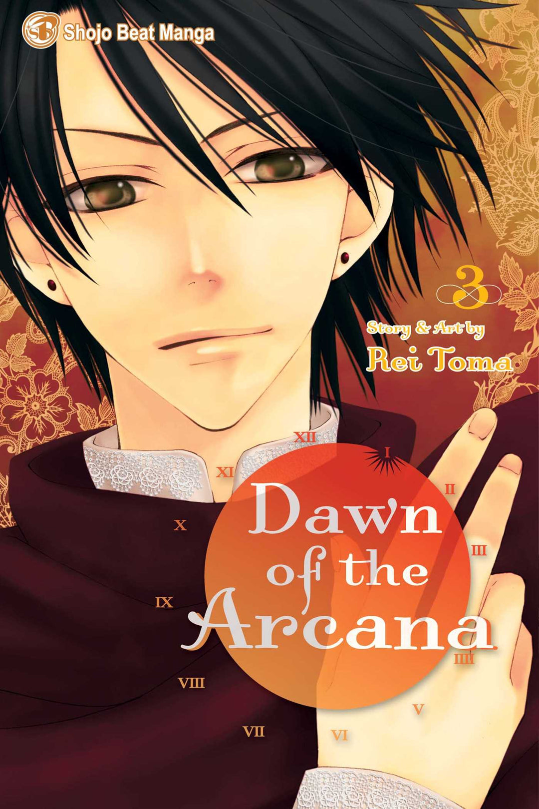 Dawn of the Arcana, Vol. 03 - Manga Mate