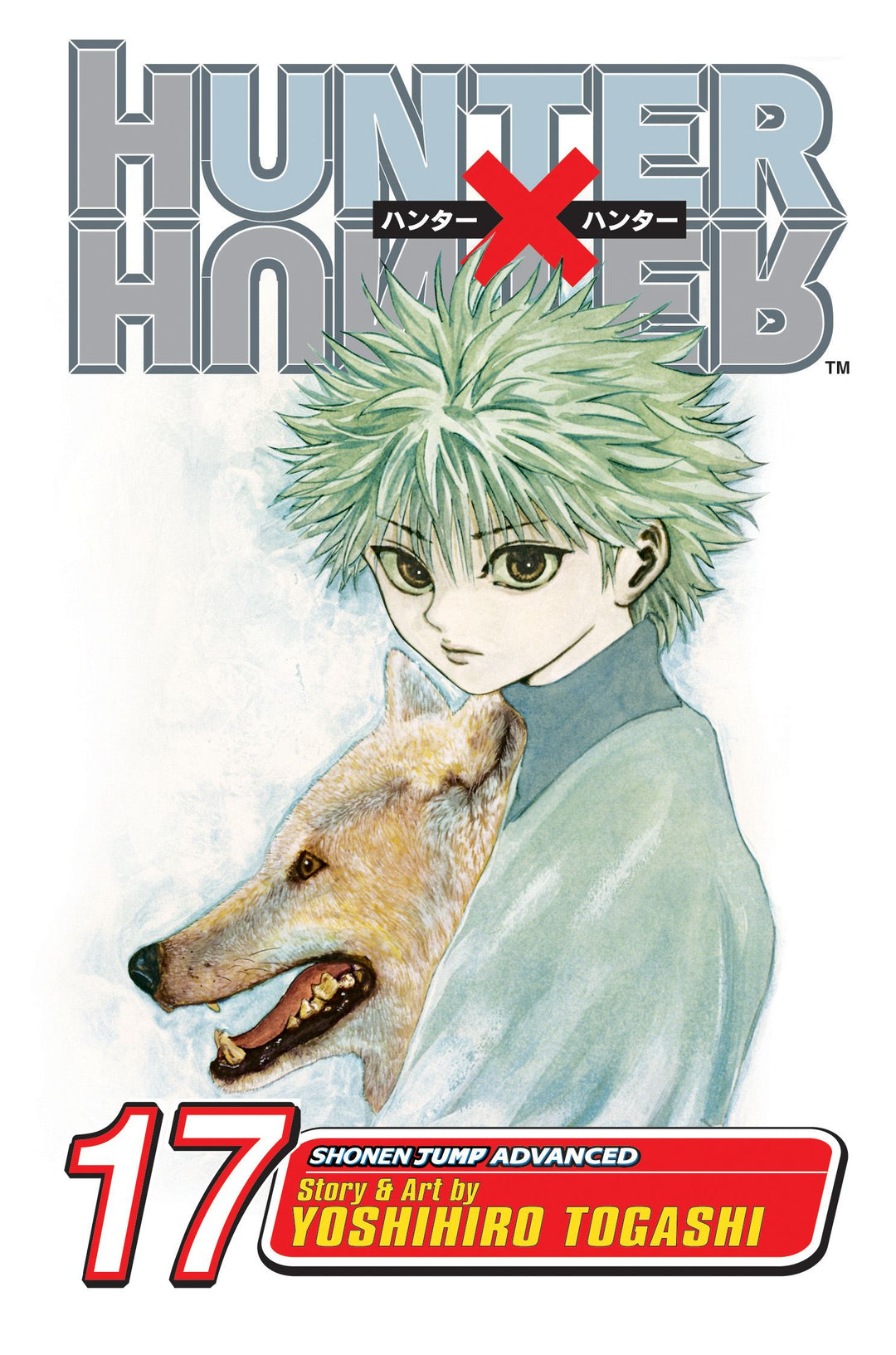 Hunter x Hunter, Vol. 17 - Manga Mate