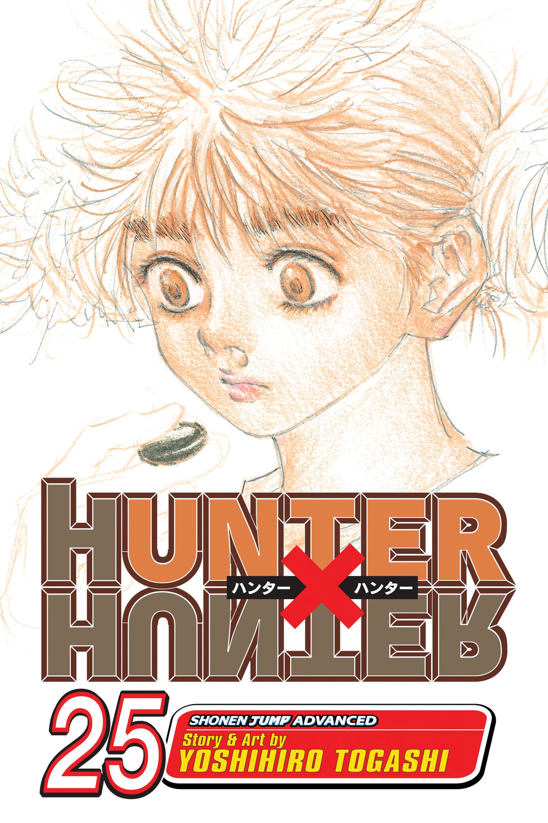 Hunter x Hunter, Vol. 25 - Manga Mate